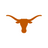 University of Texas Gameday Accessories