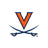 Virginia Gameday Accessories